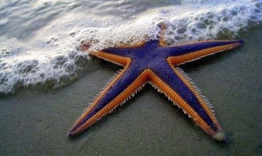 Από σήμερα επίσημα καλοκαίρι!! Είναι η μεγαλύτερη μέρα του χρόνου!!