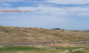 Αρχίζει η κατάρτιση των Δασικών Χαρτών στο υπόλοιπο της Χώρας