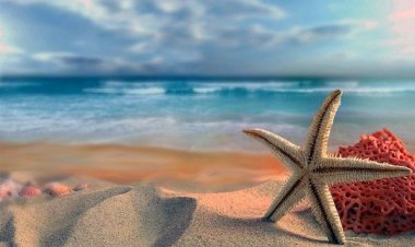 Πότε οι διακοπές είναι πραγματικά διακοπές!!