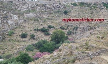 Δασικοί Χάρτες: Επιστολή του Αναπληρωτή Υπουργού Σωκράτη Φάμελλου προς τους Δημάρχους