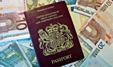 Rise in arrivals boosts receipts