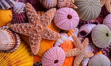 Ιούλιος!!! Καλό Μήνα σε όλους!!!