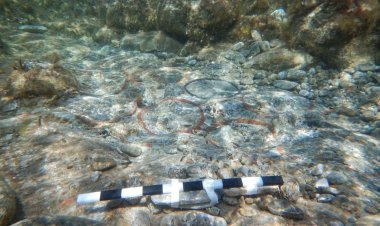 Νέα σπουδαία αρχαιολογικά ευρήματα στη βορειοανατολική πλευρά της Δήλου