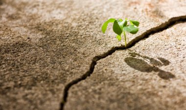 Το Πολυπόθητο Κυνήγι της Ευτυχίας!!