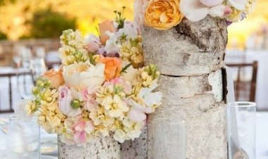 35 Βάζα και γλάστρες από κορμό δέντρου που μπορείτε να κάνετε μόνοι σας!!