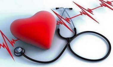 Φυσιολογικοί παλμοί - Αναλυτικός πίνακας με τις τιμές ανά ηλικία και πώς να τους μετρήσετε