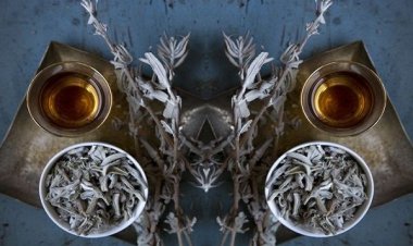 Φτιάξτε μόνοι σας ένα φυσικό αδυνατιστικό ρόφημα με φασκόμηλο!!!