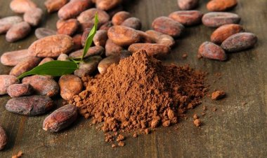 Στο εμπόριο το πρώτο χάπι σοκολάτας που προστατεύει από το έμφραγμα