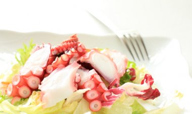 Secrets for delicious octopus: Μυστικά για νόστιμο χταπόδι!! Ξεπάγωμα, Καθάρισμα, Βράσιμο, Ψήσιμο, Γευστική... συντήρηση!!