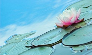 Τα πέντε σημάδια που δείχνουν πως έχεις μια ιδιαίτερη, ιερή σχέση