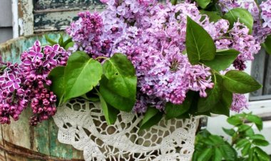 Εαρινή ισημερία: Η πρώτη μέρα της άνοιξης!! Γιορτάζουμε επίσημα την πρώτη μέρα της άνοιξης με ένα σπάνιο φαινόμενο!!