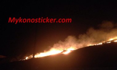 Ξεκίνησε σήμερα η αντιπυρική περίοδος -Τι πρέπει να γνωρίζουν οι πολίτες