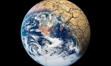 "Στόχος η Γη", οικολογική έκκληση προς τους υποψηφίους των Ευρωεκλογών