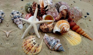 Ημερήσιες προβλέψεις σε όλα τα ζώδια για το Σάββατο 13/7/2019