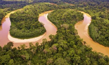 Φωτιά στα πνευμόνια του πλανήτη