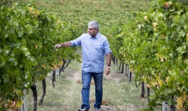 Κρασιά υψηλής απόλαυσης με έντονα ποικιλιακά αρώματα υπόσχεται ο τρύγος του 2019