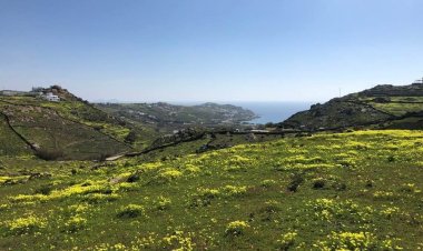 Δασικοί χάρτες: Ξεκίνησε η αντίστροφη μέτρηση για τη λήξη της υποβολής αντιρρήσεων!! Υπάρχει κίνδυνος να… χαθούν πάνω από 170.000 ακίνητα