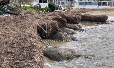 Μαρία Σταυρακοπούλου: Λιβάδια Ποσειδωνίας στη Μύκονο