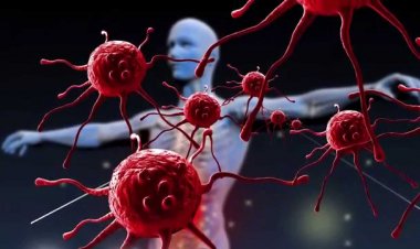 Κορωνοϊός και Άσκηση!! Πως η προπόνηση μας θωρακίζει!!