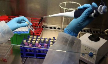 Coronavirus Pandemic - Α. Μεντής : Ελπιδοφόρα μηνύματα για καλύτερες θεραπείες και ίσως εμβόλιο από το φθινόπωρο