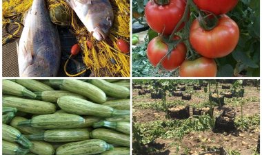 Coronavirus Mykonoς : Κάλεσμα ΚΔΕΠΠΑΜ στις τουριστικές επιχειρήσεις να αγκαλιάσουν τα Μυκονιάτικα προϊόντα