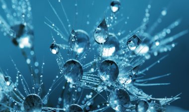 Coronavirus Pandemic: Ήλιος, Ζέστη και Υγρασία αποδυναμώνει πιο γρήγορα την Πανδημία!! [Τι έδειξε νέα έρευνα]