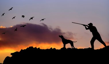 Κυνηγετική Περίοδος 2020-2021: Αρχίζει το κυνήγι!! Οι πρώτες τουφεκιές στις 20 Αυγούστου!! Τι απαγορεύεται και τι επιτρέπεται!! [Πίνακας]