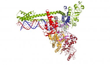 Coronavirus Disease: 284 νέα περιστατικά μόλυνσης – Τα 17 στις πύλες εισόδου, δύο νέοι θάνατοι