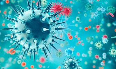 Coronavirus Disease: 372 νέα περιστατικά μόλυνσης – 49 νοσηλεύονται διασωληνωμένοι, τέσσερις νέοι θάνατοι