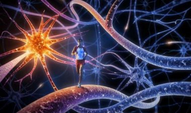 Coronavirus Disease: 342 νέα περιστατικά μόλυνσης – 68 νοσηλεύονται διασωληνωμένοι, 9 νέοι θάνατοι