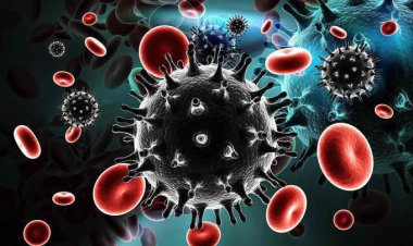 Coronavirus Disease: 303 νέα περιστατικά μόλυνσης – 83 νοσηλεύονται διασωληνωμένοι, 8 νέοι θάνατοι