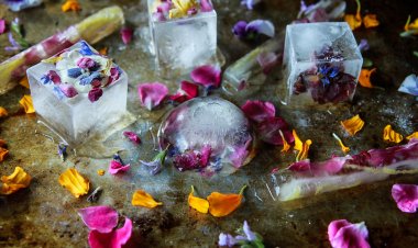 Προσοχή!! Ο ΕΦΕΤ άμεσα ανακαλεί συσκευασμένα παγάκια, που εντοπίστηκαν κολοβακτηρίδια!!