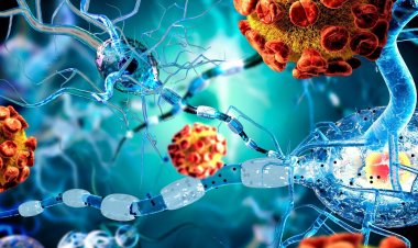 Coronavirus Disease: 2.056 νέα περιστατικά μόλυνσης – 135 νοσηλεύονται διασωληνωμένοι, 6 νέοι θάνατοι