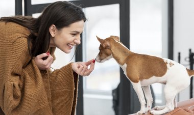 Coronavirus Pandemic: Οι σκύλοι οσμίζονται όσους νοσούν από κορωνοϊό!! «Όπλο» η μύτη τους στις μελλοντικές μετακινήσεις [Έρευνα]