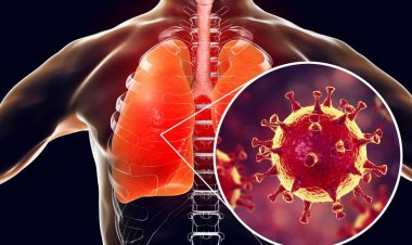 Coronavirus Disease: 721 νέα περιστατικά μόλυνσης –  386 νοσηλεύονται διασωληνωμένοι, 49 νέοι θάνατοι