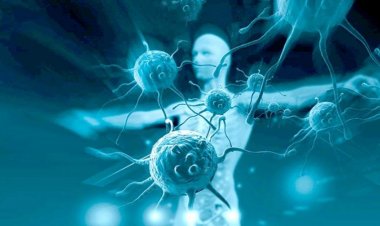 Coronavirus Disease: 605 νέα περιστατικά μόλυνσης –  292 νοσηλεύονται διασωληνωμένοι, 24 νέοι θάνατοι