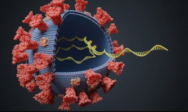 Coronavirus variants and mutations: Ποιο είναι το πιο συχνό σύμπτωμα και ποιο δεν εμφανίζεται συχνά
