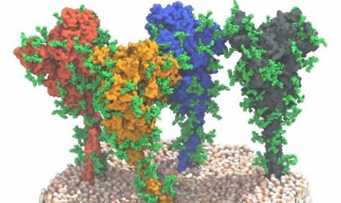 Coronavirus variants and mutations: Oι 16 «φυλές» του κορωνοϊού - Σε ποια κατηγορία χαρακτήρων εν καιρώ πανδημίας ανήκεις;
