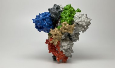 South Africa coronavirus variant – Σουρβίνος: Μεταδοτικότερη κατά 74% η μετάλλαξη της Ν. Αφρικής