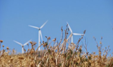 «Οι Κόρες των Κυκλάδων»: Μνημεία πολιτιστικής κληρονομιάς και περιβαλλοντικοί θησαυροί οι Κυκλάδες, όχι «μπαταρίες» για μεγάλα οικονομικά συμφέροντα