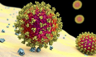 New coronavirus variants- Λαζανάς: Το επόμενο βήμα είναι νέοι περιορισμοί-Ενδεχομένως να εμφανιστούν πιο σοβαρές μεταλλάξεις