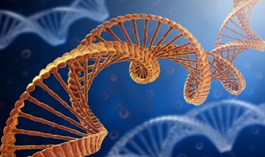 Γονιδίωμα και Γλώσσα: Βίοι παράλληλοι!! Θαυμαστές ομοιότητες του γραπτού και προφορικού λόγου με το Γονιδίωμα!!