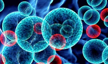 Coronavirus Disease: 1.460 νέα περιστατικά μόλυνσης [Το 1 στην Μύκονο]  –  325 νοσηλεύονται διασωληνωμένοι, 28 νέοι θάνατοι