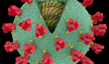 Coronavirus Disease: 1496 νέα περιστατικά μόλυνσης, τα 2 στην Μύκονο  –  707 νοσηλεύονται διασωληνωμένοι, 53 νέοι θάνατοι