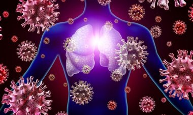 Coronavirus Disease: 3616 νέα περιστατικά μόλυνσης, τα 2 στην Μύκονο  –  739 νοσηλεύονται διασωληνωμένοι, 76 νέοι θάνατοι