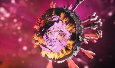 Coronavirus Disease: 87 κρούσματα στο Νότιο Αιγαίο - 1883 κρούσματα σε Αττική, 622 σε Θεσσαλονίκη - Η κατανομή