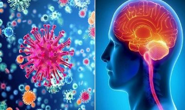 Coronavirus Disease: 3.089 νέα περιστατικά μόλυνσης, το 1 στην Μύκονο  –  809 νοσηλεύονται διασωληνωμένοι, 81 νέοι θάνατοι