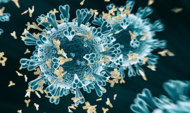 Coronavirus Disease: 32 κρούσματα στο Νότιο Αιγαίο -  675 κρούσματα σε Αττική, 216 σε Θεσσαλονίκη - Η κατανομή