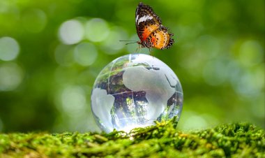 Ημέρα της Γης - Earth Day 2021 theme: "Restore Our Earth" - Επαναφορά της Γης!! [Video]