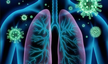 Coronavirus Disease: 2.597 νέα περιστατικά μόλυνσης, το 1 στην Μύκονο  –  797 νοσηλεύονται διασωληνωμένοι, 86 νέοι θάνατοι